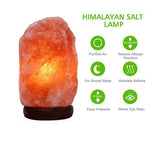 Hand Carved Himalayan Salt Lamp