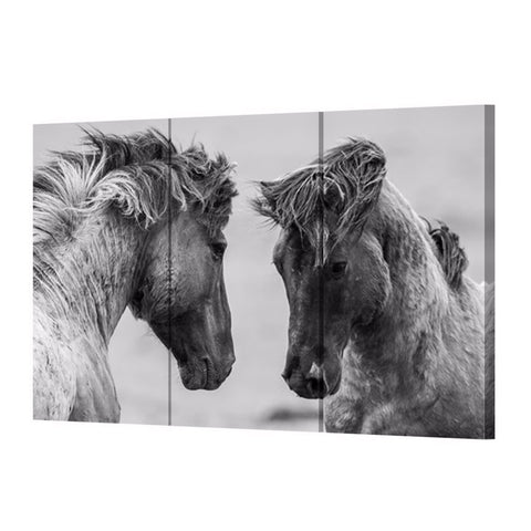 Horse Lovers Canvas
