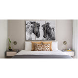 Horse Lovers Canvas