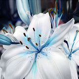 Blue Heart Lily Plant Seeds 50 Particles - FREE Offer - $0.00