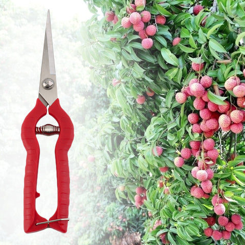 Plant Pruning Scissors