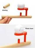 Wooden Floating Ball Pipe Balancing Toy