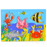 Wooden Magnetic Fishing Puzzle Board